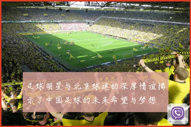 足球明星与北京球迷的深厚情谊揭示了中国足球的未来希望与梦想