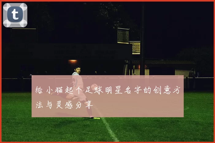 给小猫起个足球明星名字的创意方法与灵感分享