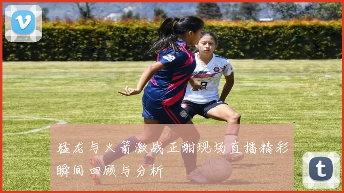 猛龙与火箭激战正酣现场直播精彩瞬间回顾与分析