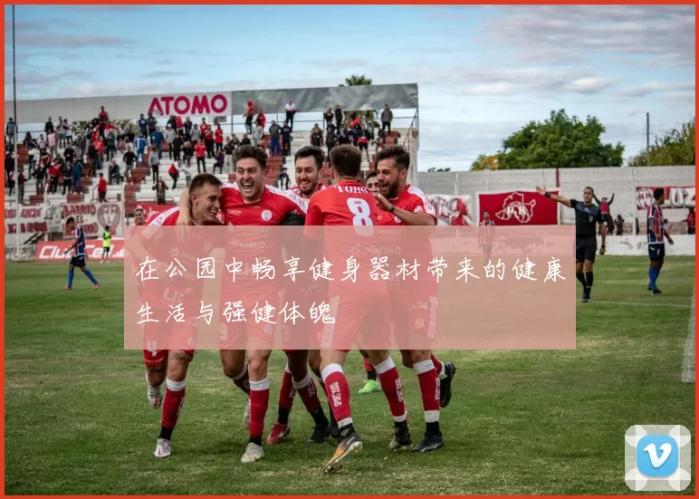 在公园中畅享健身器材带来的健康生活与强健体魄